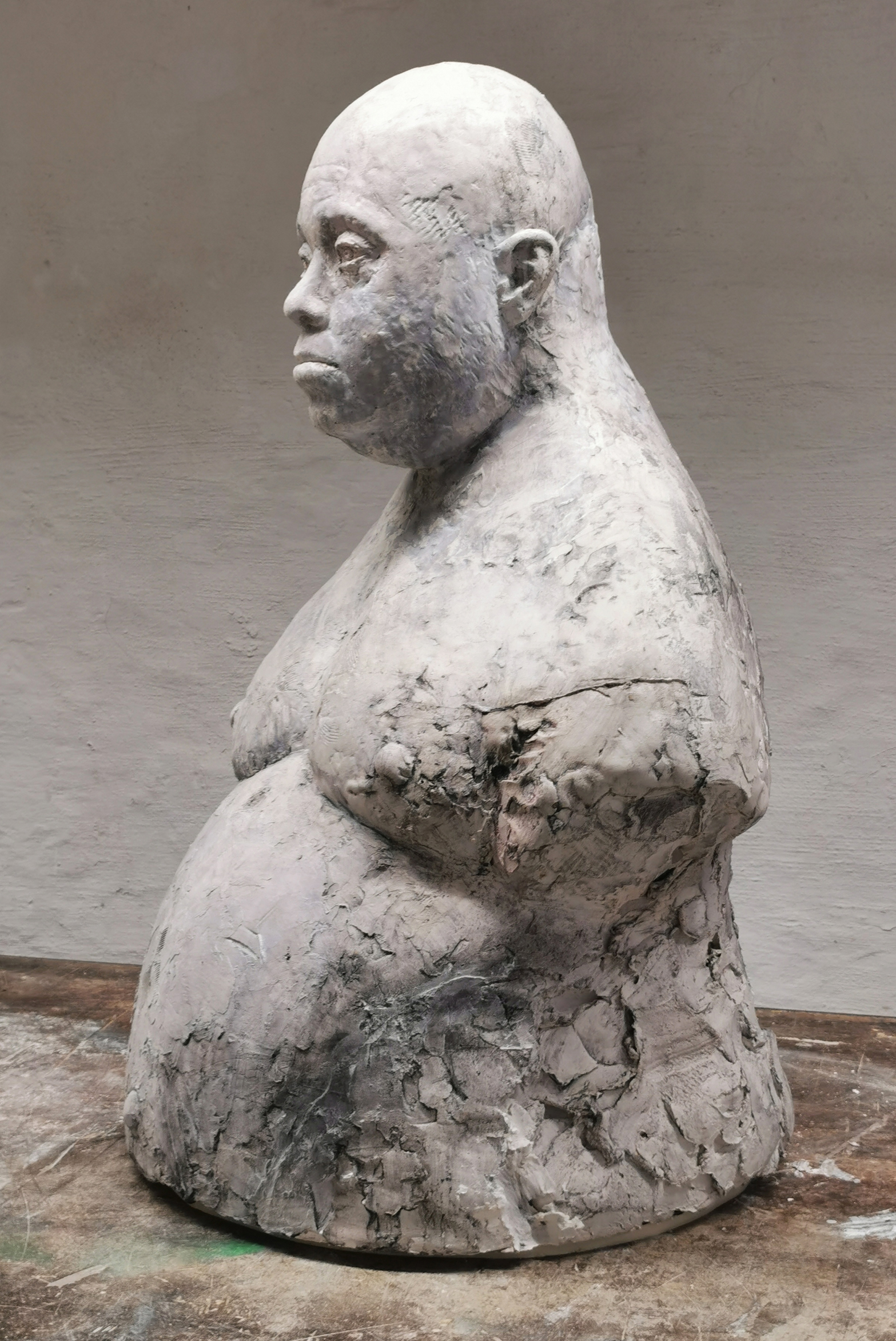Franz_2026
